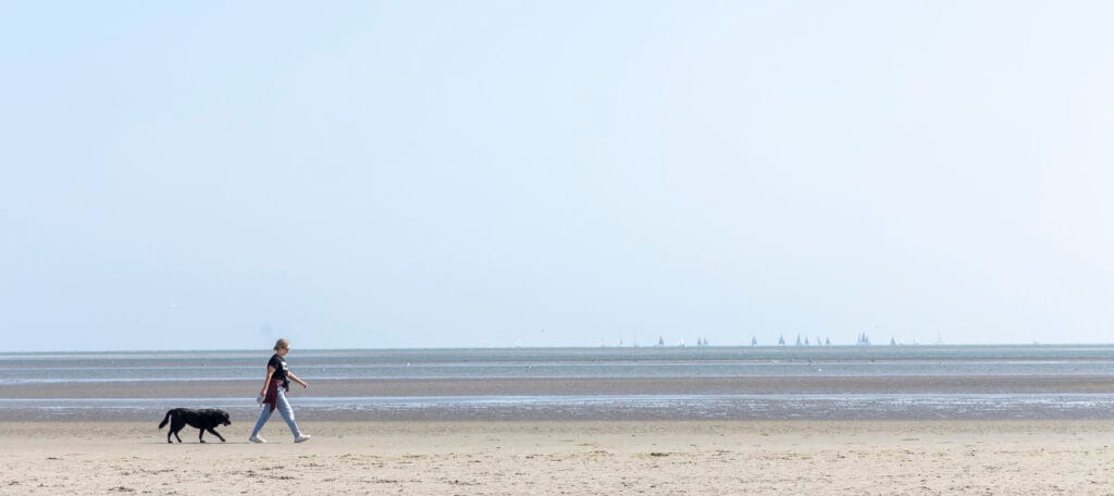 Sandymount Strand