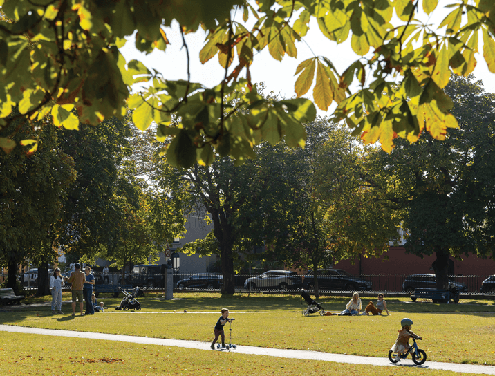 Sandymount Green